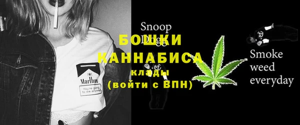 молекула духа Новодвинск