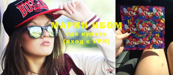 ПСИЛОЦИБИНОВЫЕ ГРИБЫ Новозыбков