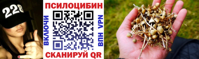 Галлюциногенные грибы MAGIC MUSHROOMS  Усолье-Сибирское 