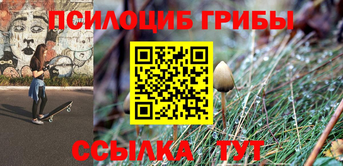 Псилоцибиновые грибы ЛСД Усолье-Сибирское